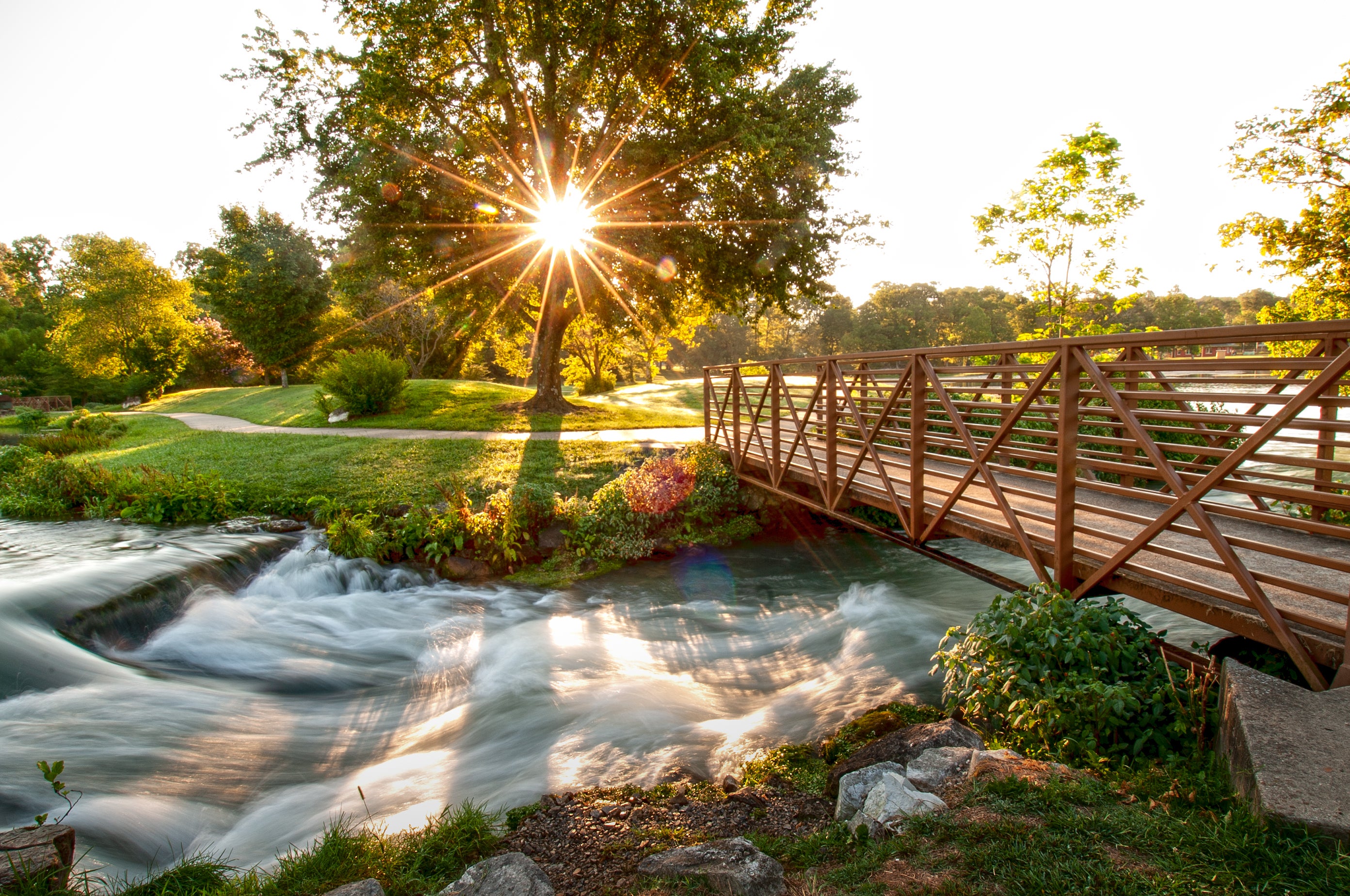 Mammoth Spring State Park, flowing water with a sunburst shining through a big green tree
